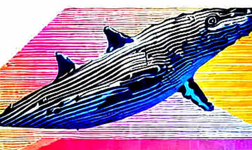 Whale Accumulation: A Data Scientist's Critique of the DOGE On-Chain Signal Whale Accumulation: A Data Scientist's Critique of the DOGE On-Chain Signal