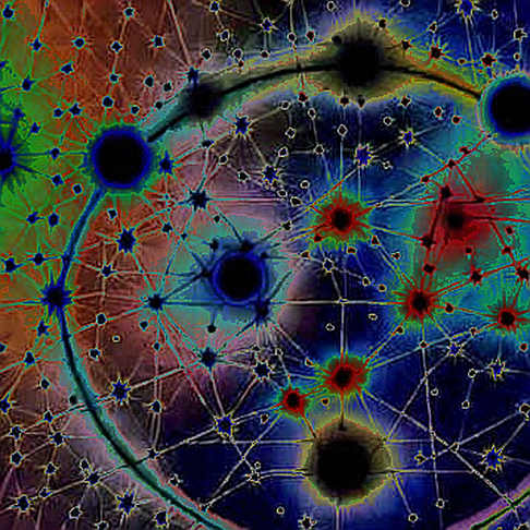 The 43% Illusion: Why On-Chain Data is Your Only Bullshit Detector