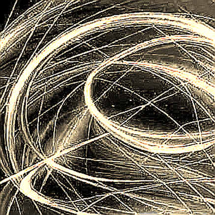GuildDAO Fires Head Coach: On-Chain Data Reveals Silent Accumulation Amid Esports Roster Turbulence GuildDAO Fires Head Coach: On-Chain Data Reveals Silent Accumulation Amid Esports Roster Turbulence